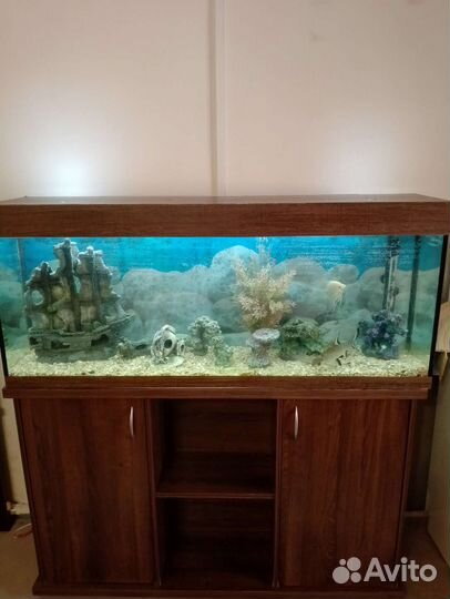 Аквариум