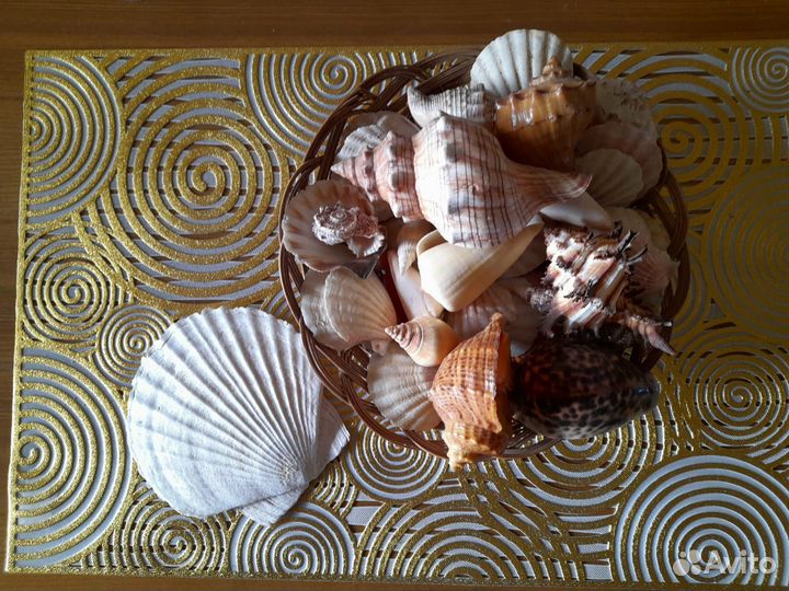 Аквариум круглый на 10л + ракушки