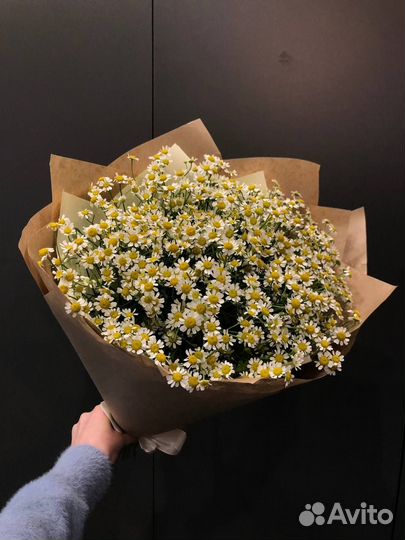 Букет из 31 ромашки