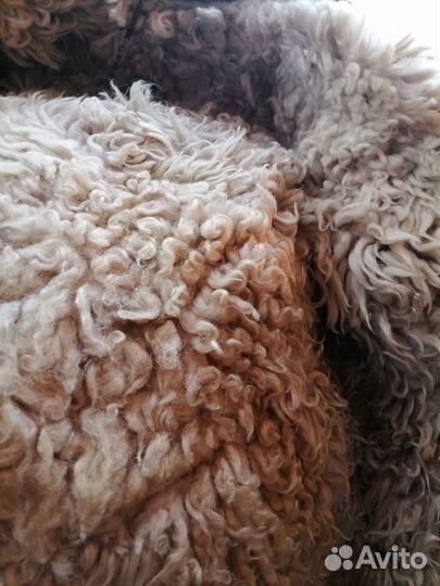 Жилет меховой мужской