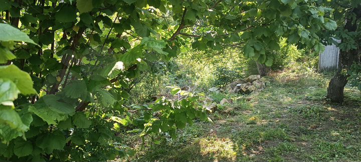 Участок 8,2 сот. (ИЖС)