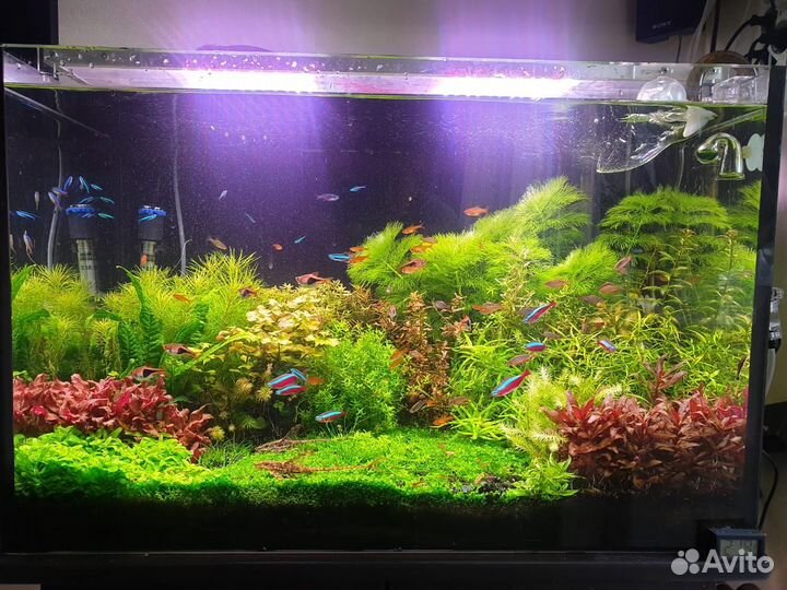 Аквариум