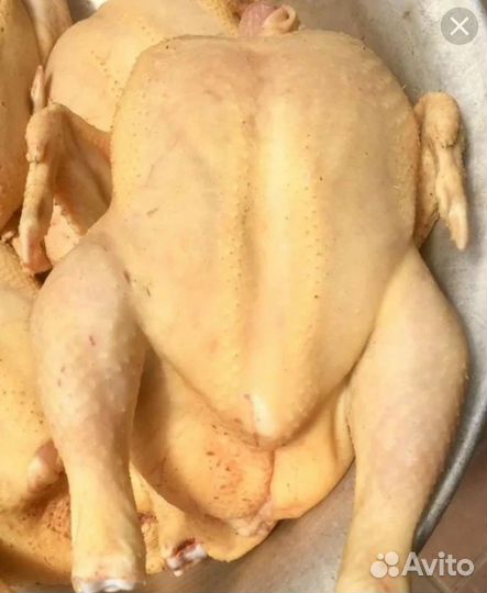 Тушки бролеров