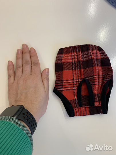 Трусы для собак