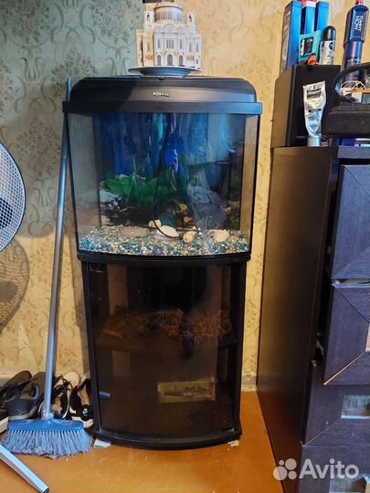 Аквариум