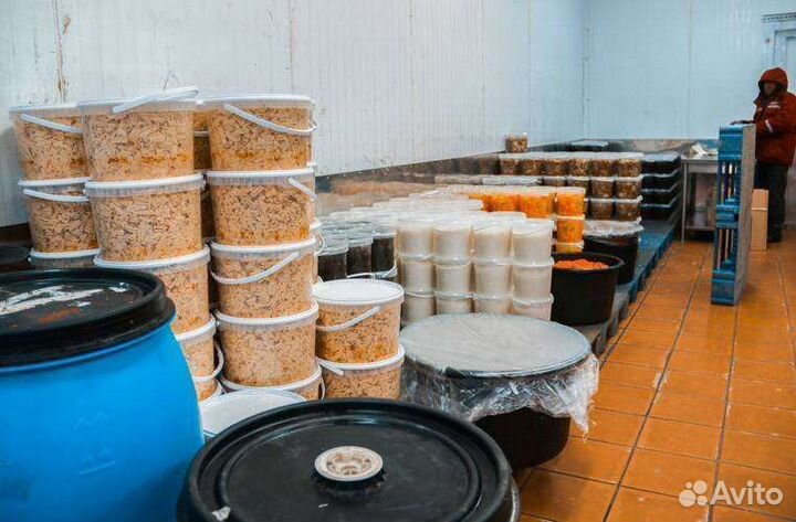 Ежедневные выплаты