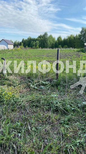Участок 12 сот. (СНТ, ДНП)
