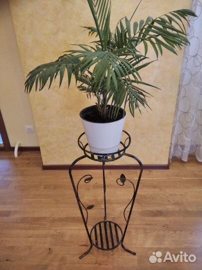 Поставка под. Цветы с цветком