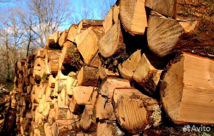 Дрова на дачу