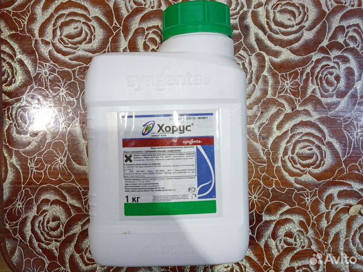 Скор, Хорус