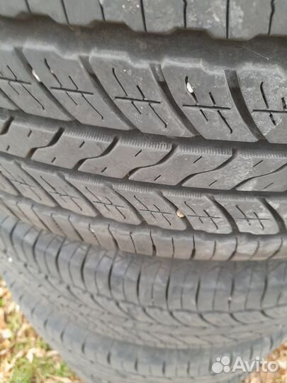 GT Radial Champiro FE1 205/55 R16