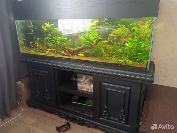 Аквариум