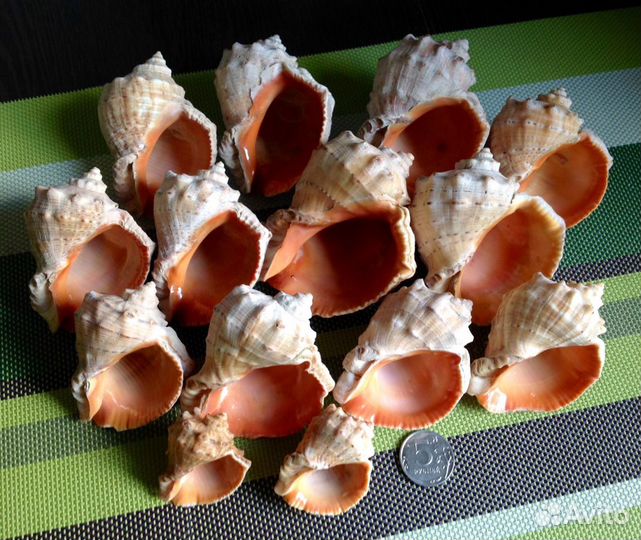 Аквариум бу с оборудованием