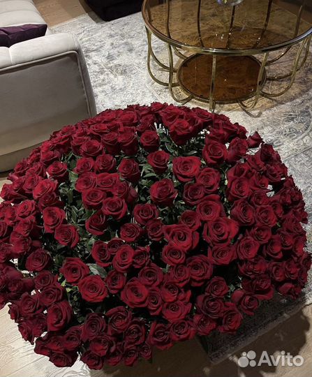 Роза Крымская 51 101 штука