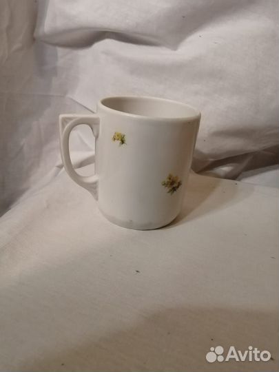 Кружка вербилки ранние советы