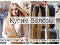 Скупка волос Ярцево Продать волосы