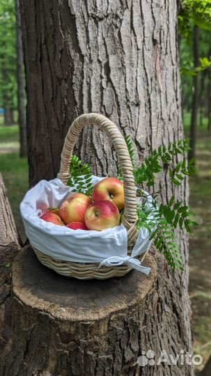 Пасхальная корзина В наличии