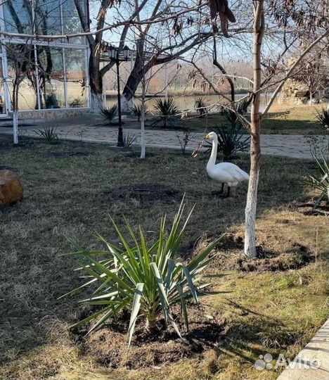 Абонемент в фитнес клуб с бассейном