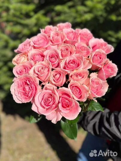 Букет роз 25шт