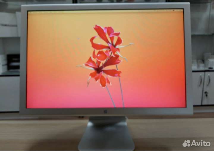 Монитор Apple Cinema 20' A1081
