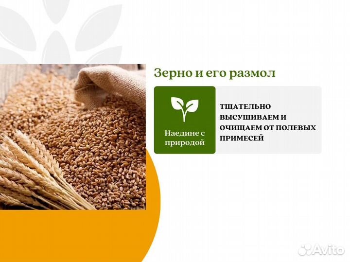 Пшеница Зерно (кг)
