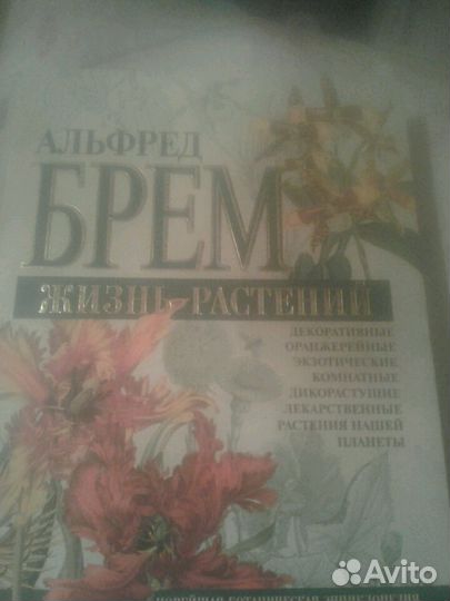 Брем. Жизнь растений