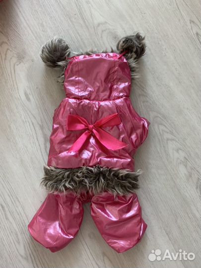 Одежда для собачки