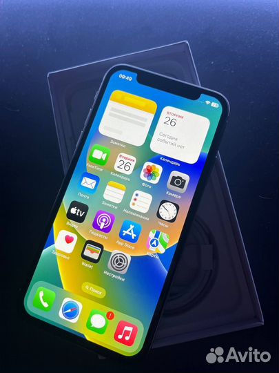 iPhone X, 256 ГБ