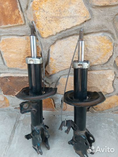 Сойки передние