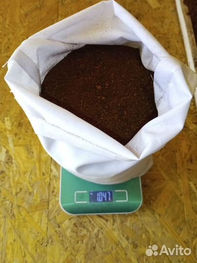 Чага березовая от сборщика