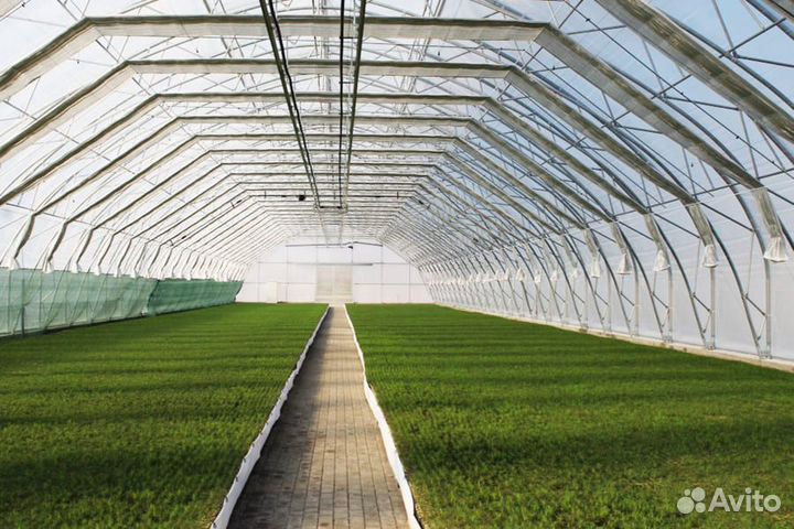 Быстровозводимые теплицы