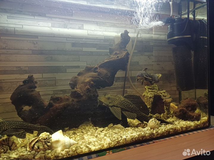 Аквариум с рыбками бу