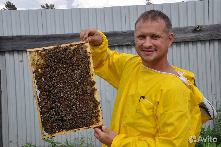 Таёжный мёд от местного пчеловода