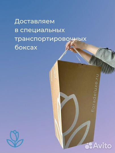 Букет ромашек M. Цветы. Доставка