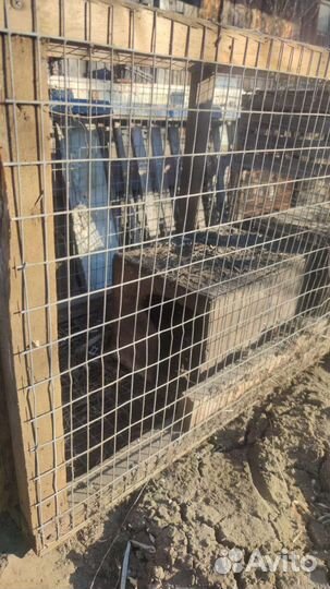 Клетки для кроликов, курицы, цыплят