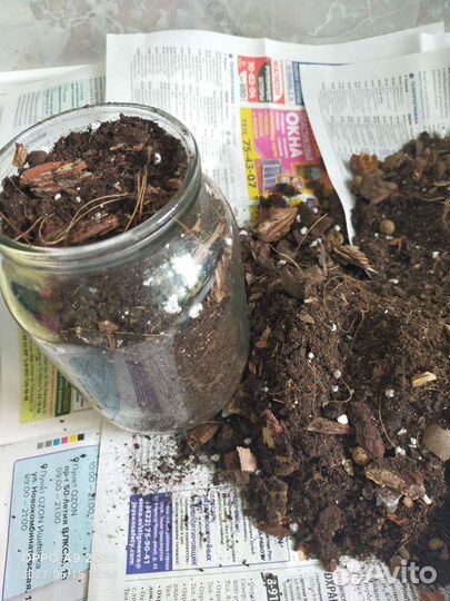 Качественный грунт для Антуриумов и Орхидей
