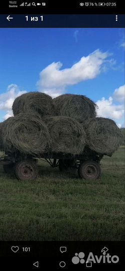 Сено в круглых (рулонах) тюках