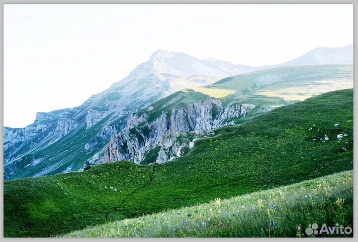 Авторские фотокартины и постеры