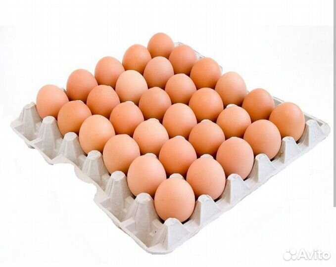 Инкубационное яйцо бройлера