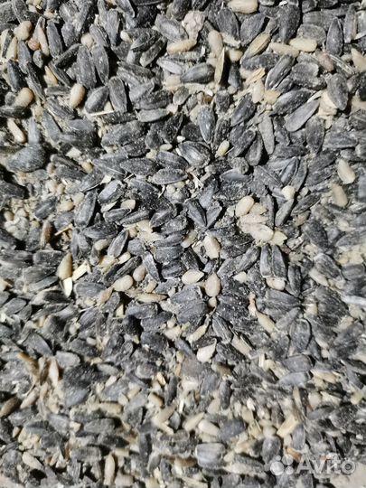 Подсолнечник