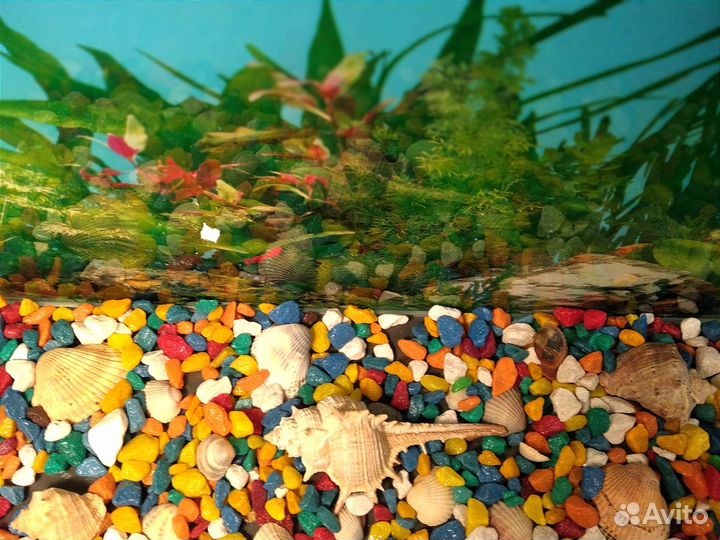 Аквариум новый