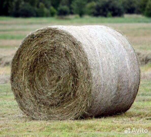 Сено в рулонах