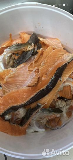 Суповые наборы из форели