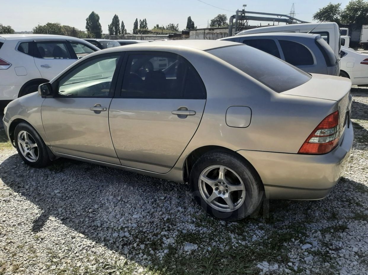 Toyota Corolla: фото владельца
