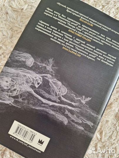 Книга «Похититель детей» Бром
