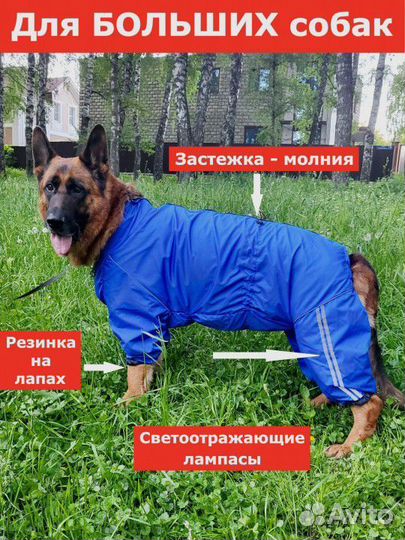 Дождевик для большой собаки