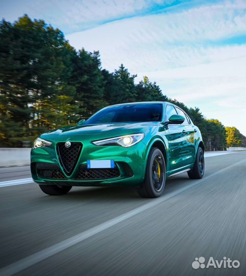 Плёнка для оклейки салона Alfa Romeo Stelvio (I) (2016)