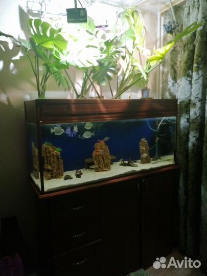 Аквариум 350 литров