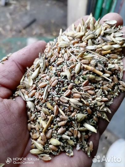 Зерноотходы