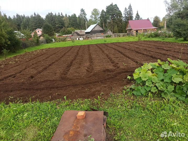 Покос травы